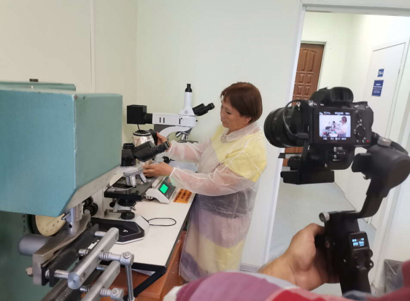 Какой чайник выбрать, чтобы не прогореть?