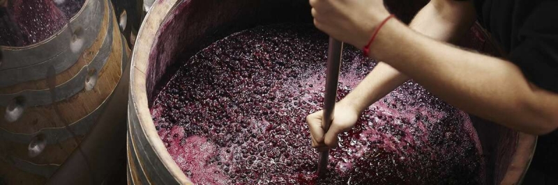 Традиционные методы российского виноделия, которые могут дать конкурентное преимущество